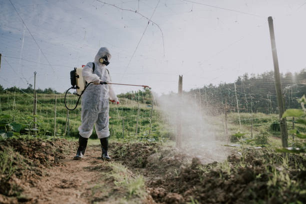 Best Affordable Pest Control Services  in Wadena, MN