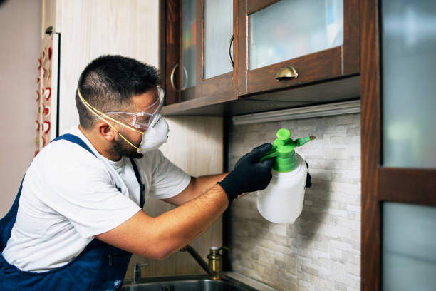Best Residential Pest Control  in Wadena, MN