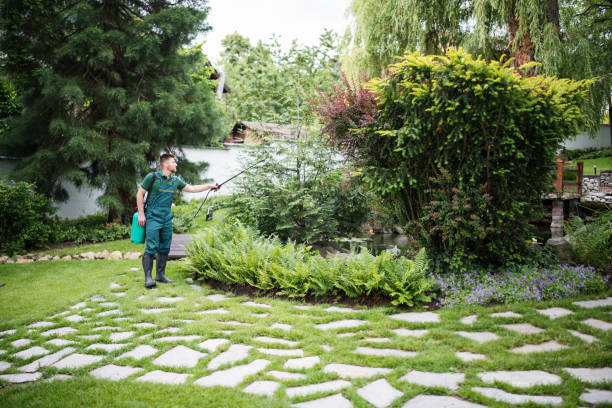Best Mosquito Control Services  in Wadena, MN