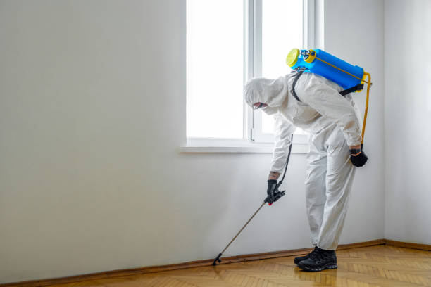 Best Pest Prevention Services  in Wadena, MN